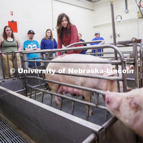 Students in ASCI 150 - Animal Production Skills. March 12, 2020. Photo by Craig Chandler / University Communication