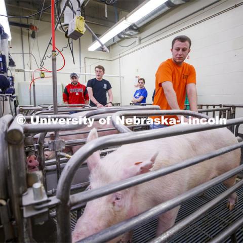 Students in ASCI 150 - Animal Production Skills. March 12, 2020. Photo by Craig Chandler / University Communication