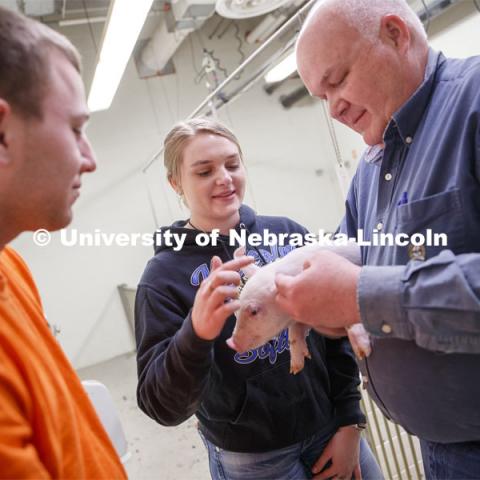 Clayton Thomas (left), freshman in Animal Science from Bloomington, IL, and Laura Reiling (middle), freshman in Animal Science from Malcom, NE, discuss a baby pig with Bryan Reiling, associate professor in Animal Science. Students in ASCI 150 - Animal Production Skills. March 12, 2020. Photo by Craig Chandler / University Communication.