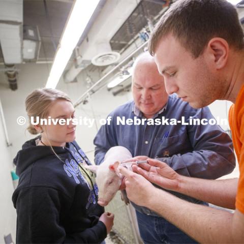 Laura Reiling (left), freshman in Animal Science from Malcom, NE, and Clayton Thomas (right), freshman in Animal Science from Bloomington, IL, discuss a baby pig with Bryan Reiling, associate professor in Animal Science. Students in ASCI 150 - Animal Production Skills. March 12, 2020. Photo by Craig Chandler / University Communication.