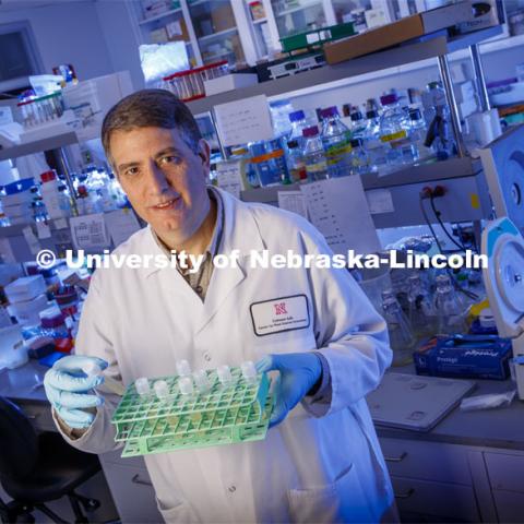 Edgar Cahoon (pictured in his lab), PhD, George W. Holmes University Professor of Biochemistry and Director, Center for Plant Science Innovation, is this year's ORCA award winner. March 13, 2020. Photo by Craig Chandler / University Communication.