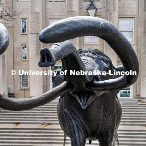 Archie, the mammoth sculpture, stands guard outside of Morrill Hall as the Husker flag waves in the breeze. City Campus. March 17, 2020. Photo by Craig Chandler / University Communication.