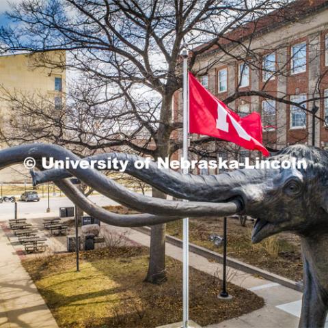 Archie, the mammoth sculpture, stands guard outside of Morrill Hall as the Husker flag waves in the breeze. City Campus. March 17, 2020. Photo by Craig Chandler / University Communication.