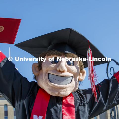 Herbie Husker stands in front of Love Library, proudly holding a diploma and is decked out in graduation attire for the Spring Commencement that was which streamed online and aired on NET because of the COVID-19 pandemic. April 10, 2020. Photo by Craig Chandler / University Communication.