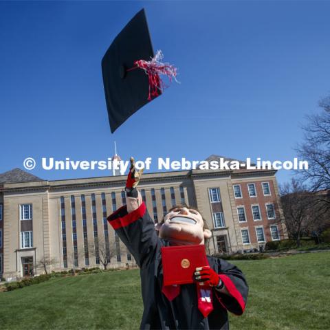 Herbie Husker removes his mortarboard and tosses it in the air in front of Love Library and is decked out in graduation attire for the Spring Commencement that was which streamed online and aired on NET because of the COVID-19 pandemic. April 10, 2020. Photo by Craig Chandler / University Communication.