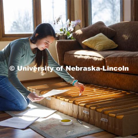 Mackenzie Zwiener, graduate student in agronomy, works with sorghum seeds in her family home in Lincoln. Zwiener is designating random plot labels to the varieties for the spring planting. Research continues as the work moves off campus. April 14, 2020. Photo by Craig Chandler / University Communication.
