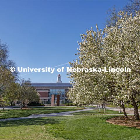 Green grass and spring trees bloom on City Campus in front of Love Library. April 30, 2020. Photo by Craig Chandler / University Communication.