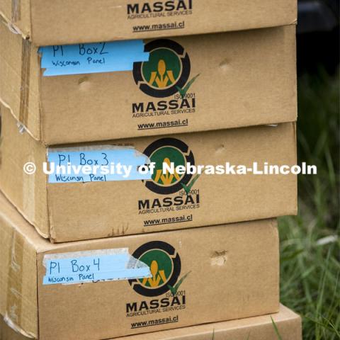 Boxes full of seed packets await their turn for planting. James Schnable corn research group plants at agronomy fields at 84th and Havelock in northeast Lincoln. Schnable’s lab studies grain DNA to find the best varieties for breeding and genetic modification to help with traits including yields and drought resistance. The 2.5-acre plot was being planted with 752 genotypes in 1680 precisely randomized plots. To plant those plots along with a check genotype, the researchers used 1860 packets of seeds manually poured into a hopper every 7 seconds while sitting atop a custom research planter. May 6, 2020. Photo by Craig Chandler / University Communication.