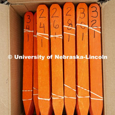 A box of row markers await their turn. James Schnable's group hand plants corn and sorghum seeds at the East Campus ag fields. May 20, 2020. Photo by Craig Chandler / University Communication.