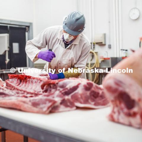 Calvin Schrock, Research Manager in Animal Science, cuts a pork carcass Thursday. UNL's Loeffel Meat Laboratory in partnership with the Nebraska Pork Producers Association Pork Cares program process more than 1500 pounds of pork for the Food Bank for the Heartland in Omaha. This is the second donation being processed for food banks. Friends and family of Bill and Nancy Luckey of Columbus donated the pigs. The first donation went to the Lincoln Food Bank. The pigs were harvested and processed at the east campus meat lab. May 28, 2020. Photo by Craig Chandler / University Communication.