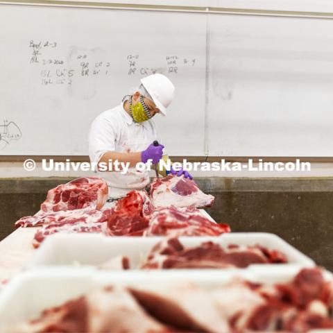 David Velazco, a masters student in Animal Science, cuts a pork carcass Thursday. UNL's Loeffel Meat Laboratory in partnership with the Nebraska Pork Producers Association Pork Cares program process more than 1500 pounds of pork for the Food Bank for the Heartland in Omaha. This is the second donation being processed for food banks. Friends and family of Bill and Nancy Luckey of Columbus donated the pigs. The first donation went to the Lincoln Food Bank. The pigs were harvested and processed at the east campus meat lab. May 28, 2020. Photo by Craig Chandler / University Communication.