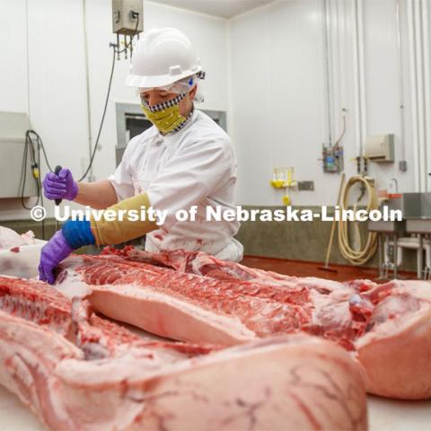 David Velazco, a masters student in Animal Science, cuts a pork carcass Thursday. UNL's Loeffel Meat Laboratory in partnership with the Nebraska Pork Producers Association Pork Cares program process more than 1500 pounds of pork for the Food Bank for the Heartland in Omaha. This is the second donation being processed for food banks. The first donation went to the Lincoln Food Bank. Friends and family of Bill and Nancy Luckey of Columbus donated the pigs. The pigs were harvested and processed at the east campus meat lab. May 28, 2020. Photo by Craig Chandler / University Communication.