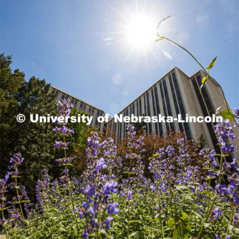 Exterior photo of Avery Hall. Avery Hall classrooms are being measured for fall social distancing of students. June 1, 2020. Photo by Craig Chandler / University Communication.