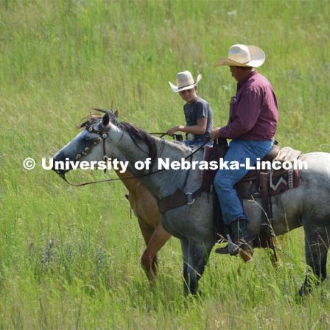 Ranchers ride on horseback to round up the cattle for branding and tagging. Cattle and livestock on the Diamond Bar Ranch north of Stapleton, NE, in the Nebraska Sandhills. June 23, 2020. Photo by Natalie Jones.  Photos are for UNL use only.  Any outside use must be approved by the photographer.