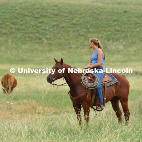 Ranchers ride on horseback to round up the cattle for branding and tagging. Cattle and livestock on the Diamond Bar Ranch north of Stapleton, NE, in the Nebraska Sandhills. June 23, 2020. Photo by Natalie Jones.  Photos are for UNL use only.  Any outside use must be approved by the photographer.