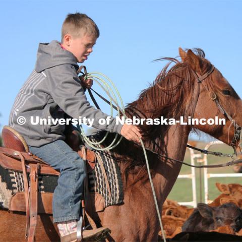 Ranchers ride on horseback to round up the cattle for branding and tagging. Cattle and livestock on the Diamond Bar Ranch north of Stapleton, NE, in the Nebraska Sandhills. June 23, 2020. Photo by Natalie Jones.  Photos are for UNL use only.  Any outside use must be approved by the photographer.