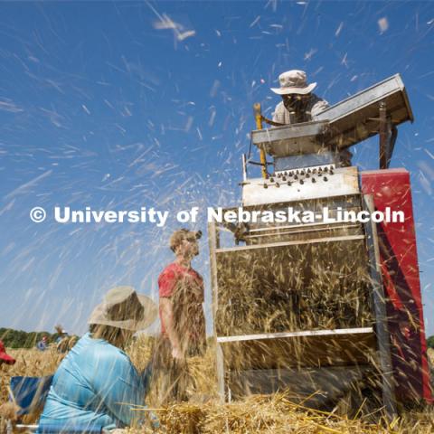 Chaff flies as Stephen Baenziger, professor and Wheat Growers Presidential Chair in the University of Nebraska–Lincoln’s Department of Agronomy and Horticulture, thrashes wheat samples harvested from the ag fields at 84th and Havelock. July 8, 2020. Photo by Craig Chandler / University Communication.