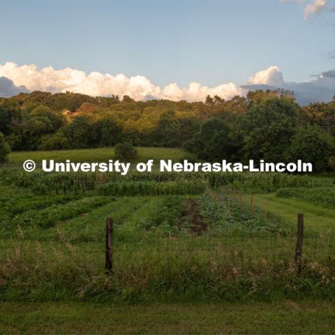 Cooper Farm, Omaha, Nebraska. July 21, 2020. Photo by Gregory Nathan / University Communication.