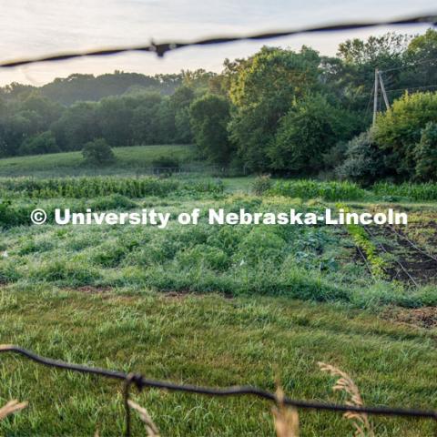 Garden plots at Cooper Farm in Omaha, Nebraska. July 22, 2020. Photo by Gregory Nathan / University Communication.