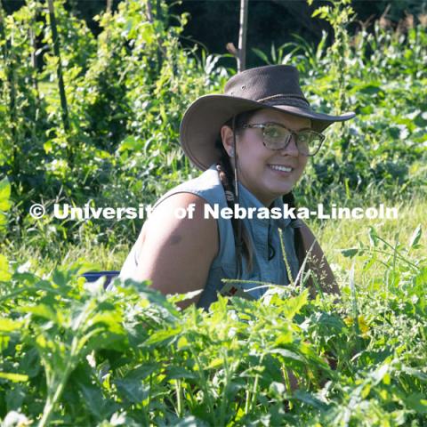 Master Gardeners work the garden at  Cooper Farm in Omaha, Nebraska. July 22, 2020. Photo by Gregory Nathan / University Communication.