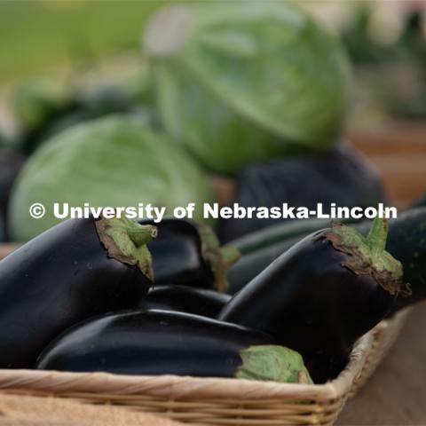 Eggplant and cabbage for sale at the Fallbrook Farmers Market in northwest Lincoln, Nebraska. July 23, 2020. Photo by Gregory Nathan / University Communication.