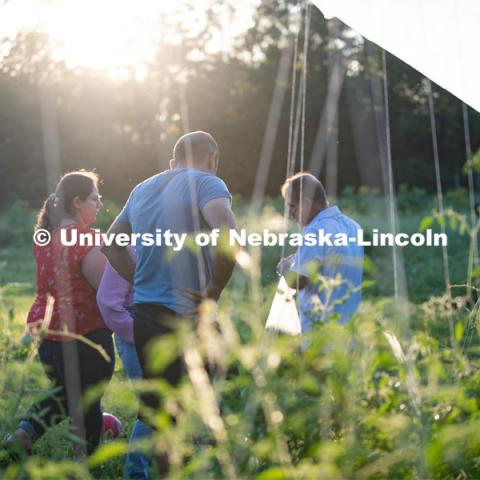 Lincoln families work their garden area at Prairie Pines in east Lincoln. July 27, 2020. Photo by Gregory Nathan / University Communication.