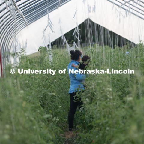 Lincoln families work their garden area at Prairie Pines in east Lincoln. July 27, 2020. Photo by Gregory Nathan / University Communication.