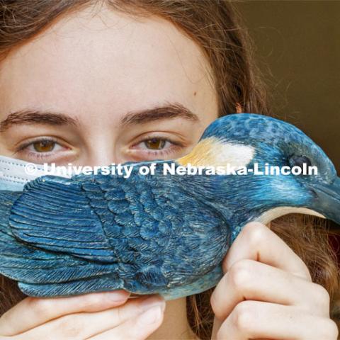 Kinga Aletto, junior in College of Agriculture Sciences and Natural Resources, works on a life-size clay model of the Javan blue-banded kingfisher. Her UCARE research project includes making a life size Javan Blue-banded king out of clay. The reason why this bird was chosen was because it is critically endangered and receives little to no coverage on this fact. Through learning new clay building skills, she is able to bring this bird to life in Nebraska and bring awareness to its' struggles. August 7, 2020. Photo by Craig Chandler / University Communication.
