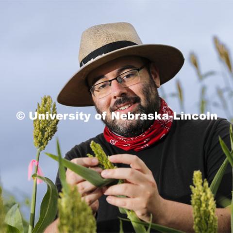 James Schnable recently earned a $2.7 million, three-year grant from the U.S. Department of Energy to develop a rapid, efficient method for characterizing the functions of genes in sorghum. August 7, 2020. Photo by Craig Chandler / University Communication.