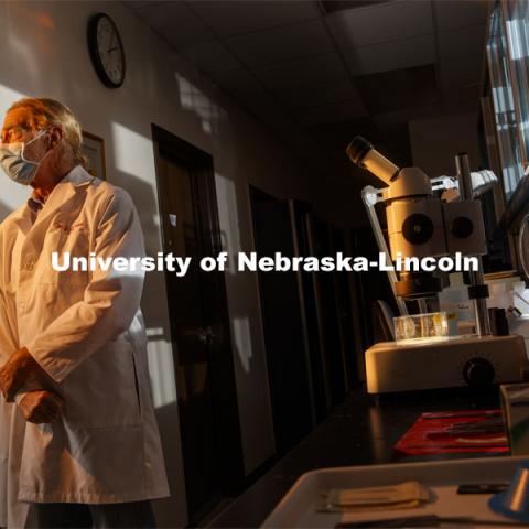 Nebraska's Patricia Sollars and Gary Pickard have helped develop a vaccine candidate for herpes simplex virus 1, best known for causing cold sores around the lip. A new study has also demonstrated its promise against the sexually transmitted herpes simplex virus 2. September 28, 2020 Photo by Craig Chandler / University Communication.