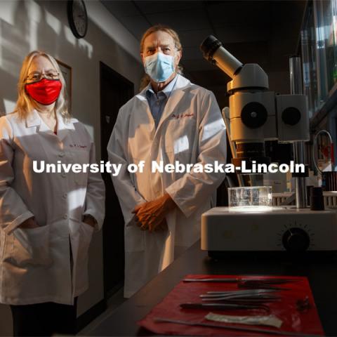 Nebraska's Patricia Sollars (left) and Gary Pickard have helped develop a vaccine candidate for herpes simplex virus 1, best known for causing cold sores around the lip. A new study has also demonstrated its promise against the sexually transmitted herpes simplex virus 2. September 28, 2020 Photo by Craig Chandler / University Communication.