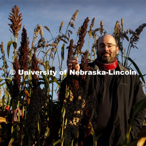 Professor James Schnable and graduate student Mackenzie Zwiener look over ripe sorghum plants in Zwiener's test field northeast of 84th and Havelock. September 29, 2020. Photo by Craig Chandler / University Communication.