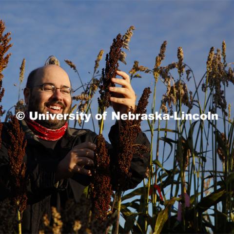 Professor James Schnable and graduate student Mackenzie Zwiener look over ripe sorghum plants in Zwiener's test field northeast of 84th and Havelock. September 29, 2020. Photo by Craig Chandler / University Communication.