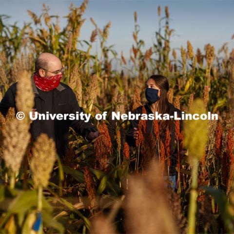 Professor James Schnable and graduate student Mackenzie Zwiener look over ripe sorghum plants in Zwiener's test field northeast of 84th and Havelock. September 29, 2020. Photo by Craig Chandler / University Communication.