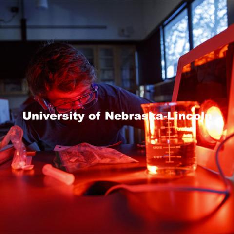 Isaac Kramer, sophomore from Lincoln, Nebraska, sees how spinach leaf punches react to red light in a photosynthesis experiment. LIFE 120L - Fundamentals of Biology I laboratory. October 6, 2020. Photo by Craig Chandler / University Communication.