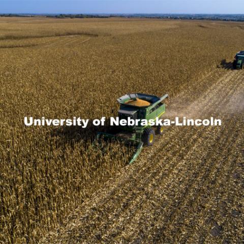 A combine works through a corn field north of Adams, NE. Fall harvest. October 7, 2020. Photo by Craig Chandler / University Communication.