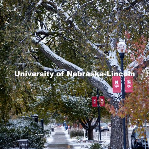 Monday morning after an overnight snow on city campus. October 26, 2020. Photo by Craig Chandler / University Communication.