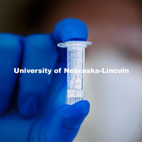 Stephanie Padilla, R.N. holds a completed test tube of the new saliva-based COVID test the students, faculty and staff on campus will be using in the spring. December 2, 2020. Photo by Craig Chandler / University Communication.