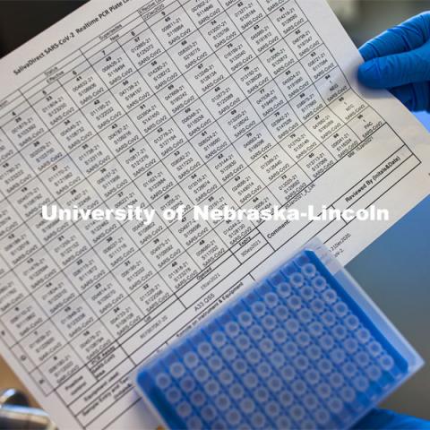 A printout follows the samples throughout the process. Each PCR plate holds 95 samples and a control sample. Saliva-based diagnostic testing program is managed by the university through lab space in the Veterinary Diagnostic Center. January 20, 2021. Photo by Craig Chandler / University Communication.