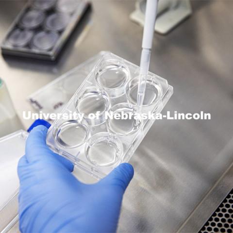 Grad students working in the Ryan Pedrigi biosystems engineering lab in Scott Engineering Center. February 3, 2021. Photo by Craig Chandler / University Communication.