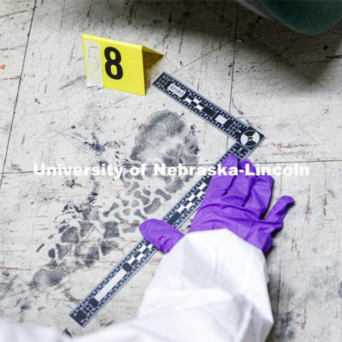 An evidence marker and a ruler is placed next to a footprint being collected as evidence. Forensic Science 485 is the capstone for the seniors. The CSI option students work a mock crime scene while the biochemistry option students process the samples. The class concludes with a mock trial. March 2, 2021. Photo by Craig Chandler / University Communication.