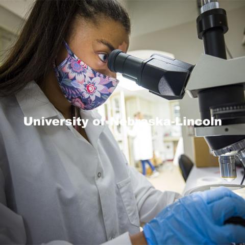 Symone Arends uses a microscope to examine a piece of evidence. Forensic Science 485 is the capstone for the seniors. The CSI option students work a mock crime scene while the biochemistry option students process the samples. The class concludes with a mock trial. March 2, 2021. Photo by Craig Chandler / University Communication.