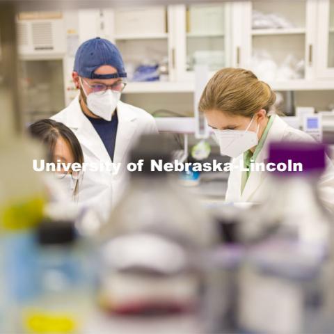 Rebecca Roston, associate professor in biochemistry, works with Ngoc Pham and Zach Shomo in her lab. Photo shoot in Rebecca Roston’s biochemistry lab in Beadle Hall. March 2, 2021. Photo by Craig Chandler / University Communication.