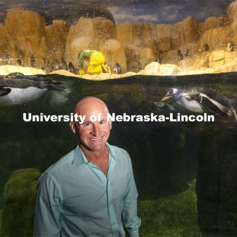 Pictured; Jay Storz. Jay Storz, Willa Cather Professor of biological sciences, and postdoctoral researcher Anthony Signore are publishing a paper about Emperor Penguins diving abilities. The two are shown with penguins at Henry Doorly Zoo in Omaha. Storz, Signore and their colleagues resurrected two ancient versions of hemoglobin, demonstrating how the blood of penguins evolved to help them better hold their breath while hunting for seafood. March 17, 2021. Photo by Craig Chandler / University Communication.