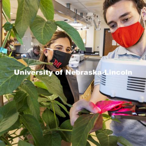 Tala Awada, Physiological Plant Ecologist and Associate Dean Agricultural Research Division and post-doc Tasos Mazis, takes readings from a soybean plant in Awada’s Hardin Hall lab.  April 1, 2021. Photo by Craig Chandler / University Communication.