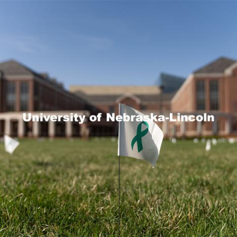 Flags are spread across the Nebraska Union Greenspace. Flags and signs are placed in the Nebraska Union Greenspace to promote Sexual Assault Awareness Month. April 4, 2021. Photo by Jordan Opp for University Communication.