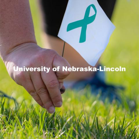 CARE Advocate Melissa Wilkerson places a flag at the Nebraska Union Greenspace. Flags and signs are placed in the Nebraska Union Greenspace to promote Sexual Assault Awareness Month. April 4, 2021. Photo by Jordan Opp for University Communication.