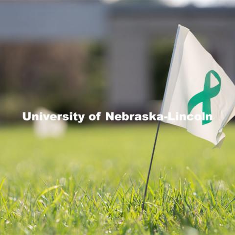 Flags are spread across the Nebraska Union Greenspace. Flags and signs are placed in the Nebraska Union Greenspace to promote Sexual Assault Awareness Month. April 4, 2021. Photo by Jordan Opp for University Communication.