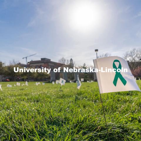 Flags are spread across the Nebraska Union Greenspace. Flags and signs are placed in the Nebraska Union Greenspace to promote Sexual Assault Awareness Month. April 4, 2021. Photo by Jordan Opp for University Communication.