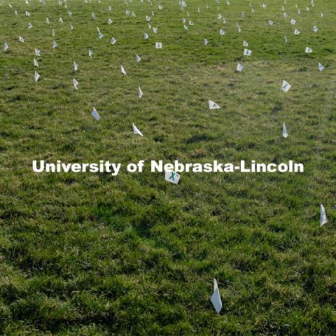 Flags are spread across the Nebraska Union Greenspace. Flags and signs are placed in the Nebraska Union Greenspace to promote Sexual Assault Awareness Month. April 4, 2021. Photo by Jordan Opp for University Communication.